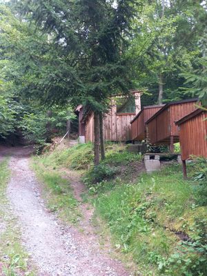 Ein Waldweg führt bergauf. Am rechten Wegrand steht eine Holzhütte mit Pultdach. Darunter stehen versetzt drei große, rechteckige Holzbehälter.