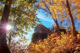 Burgruine