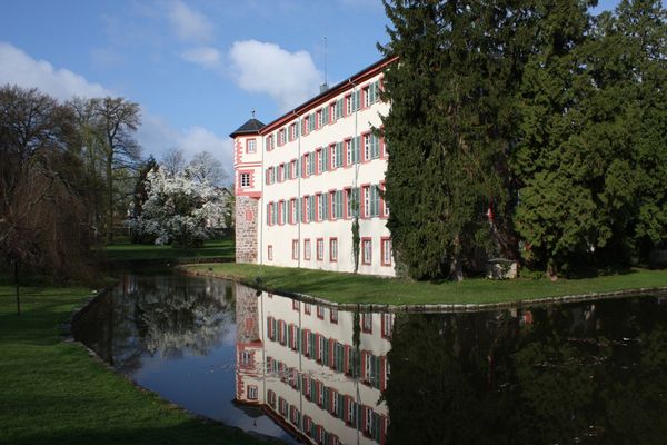 Bild des Datensatzes Historischer Schlosspark Eichtersheim 