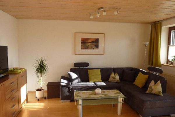 Wohnzimmer mit grauem Ecksofa und mehreren Kissen, Glastisch, Kommode, TV, Stehlampe, Grünpflanze und Holzdecke. Über dem Sofa hängt ein Bild und grüne Vorhänge am Fenster.