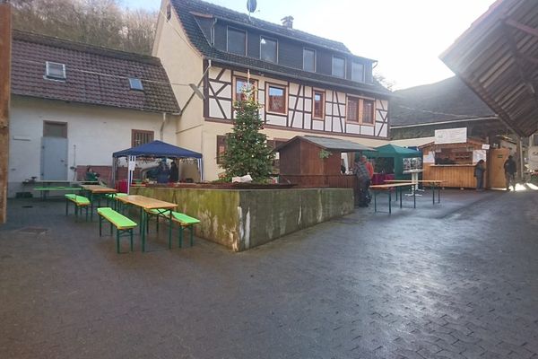 Obsthof Muth in Mühltal, Nieder-Beerbach