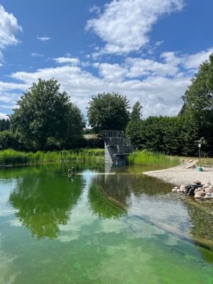 Das Bild zeigt einen Blick auf den Schwimmbereich mit Sprungturm.