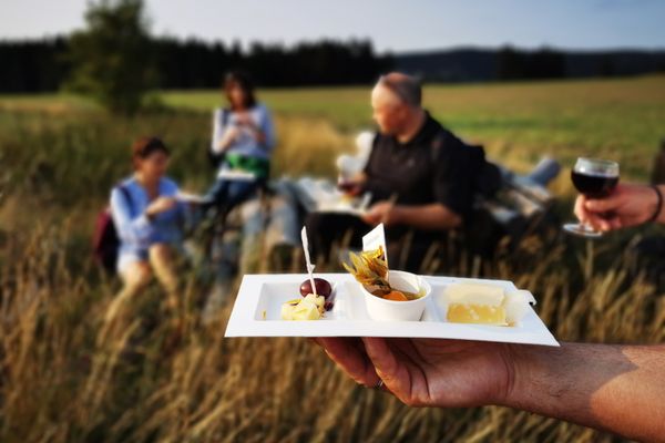 Das Bild zeigt Personen beim Picknick