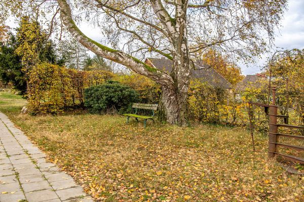 Gepflasterter Weg entlang eines Gartens mit großem Baum, Bank und herbstlichem Laub auf dem Boden.