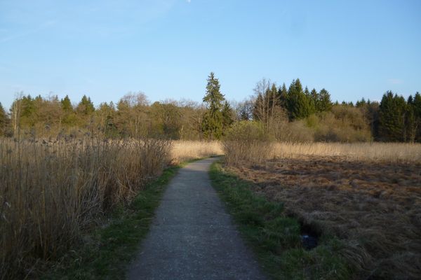 Ein schmaler Kiesweg führt durch das idyllische Moorgebiet südlich des Großen Ostersees und des Fohnsees.