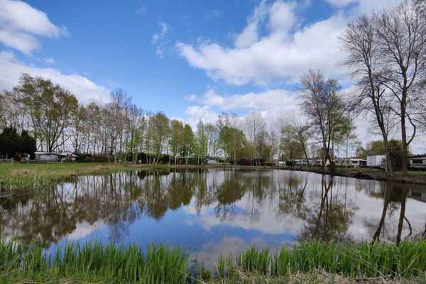 Großer See mit Bäumen und Gräsern