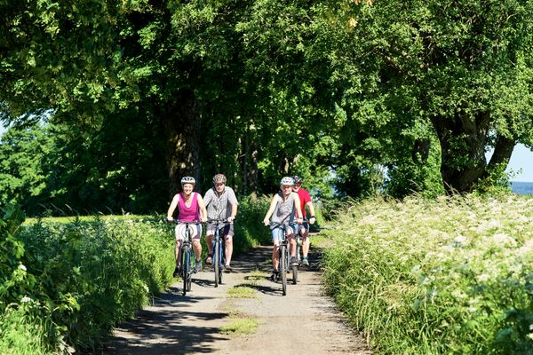 Das Bild zeigt eine Gruppe. Sie machen eine gemütliche Radtour.