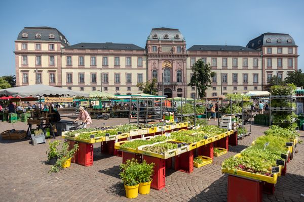 Marktstände mit verschiedenen Gemüsepflanzen, im Hintergrund die Südfassade des Darmstädter Residenzschloss.