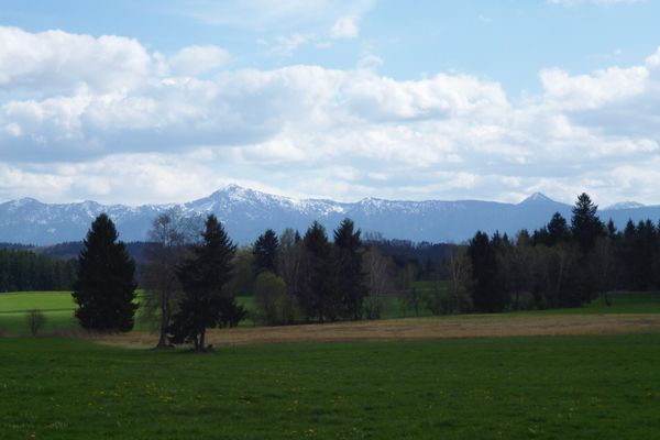 Begleitet von einem traumhaften Bergblick geht es von der Marienkapelle am Wolfbichl in Richtung Norden.