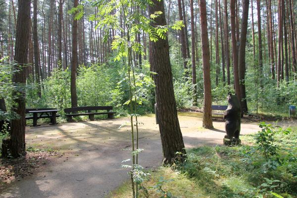 Rastplatz am Rollstuhlwanderweg
