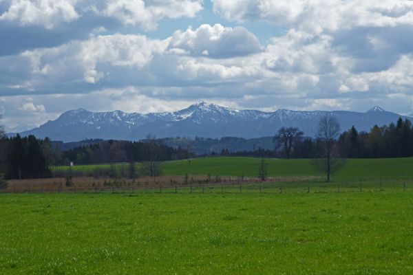 Am Waldrand auf der Ostseite des Pollinger Weihers eröffnet sich ein grandioser Blick auf die Alpenkette.