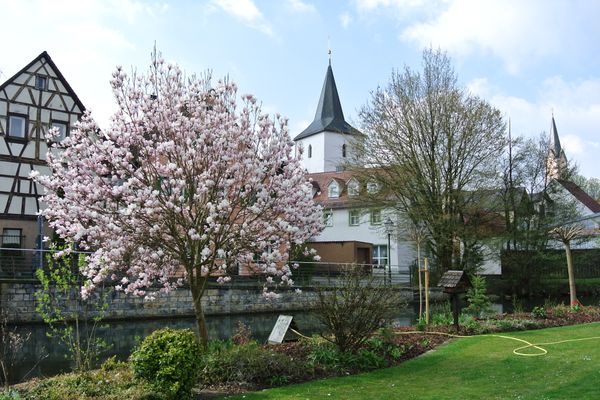 Großer Garten direkt an der Wiesent
