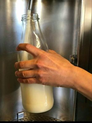 Frische Milch