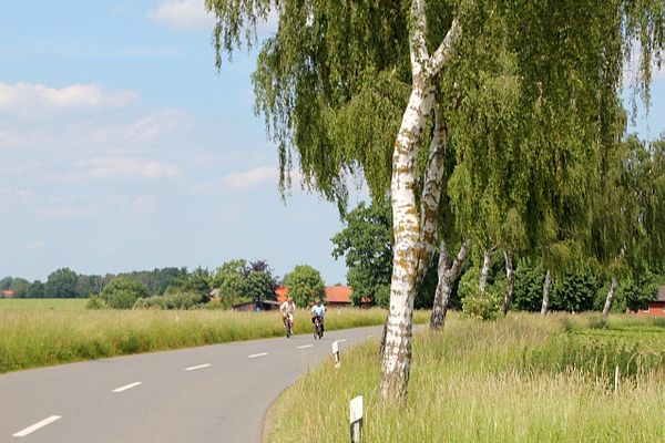 Zwei Personen radeln auf einer Landstraße