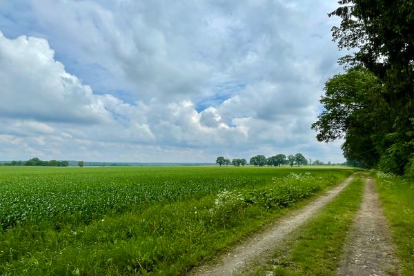 Blick auf die Felder bei Medingen