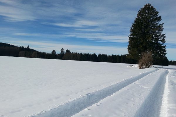 Auf dem Weg zum Mühleck