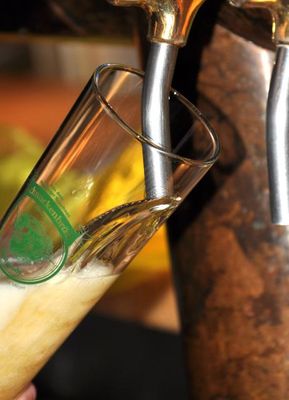 Bier im Glas was gerade von der Zapfanlage gezapft wird