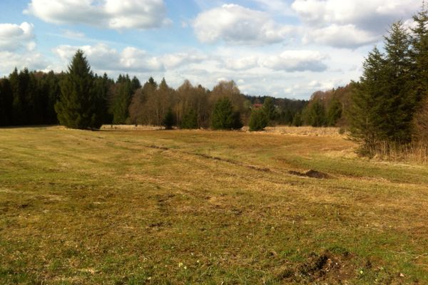 Hochkastner Filz