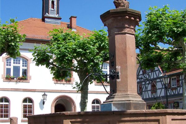 Löwenbrunnen auf dem Löwenplatz
