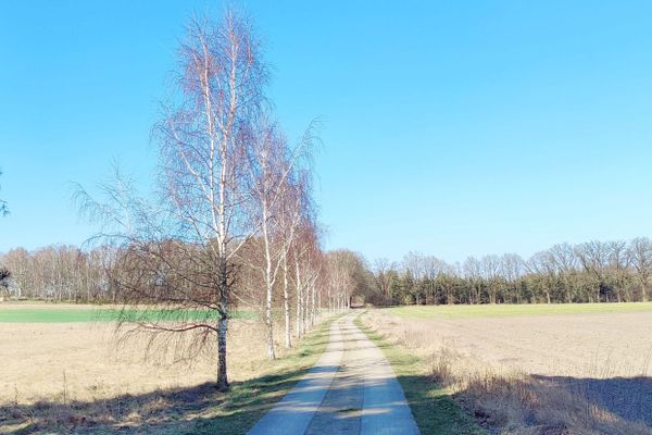 Der glatte Betonspurbahnweg führt von der Ferienhaussiedlung „Große Heide“ durch offene Feldlandschaft in Richtung Wichmannsburg. Mehrere Radstrecken, der Ilmenauradweg und der Pilgerweg " Via Scandinavica" verlaufen hier..