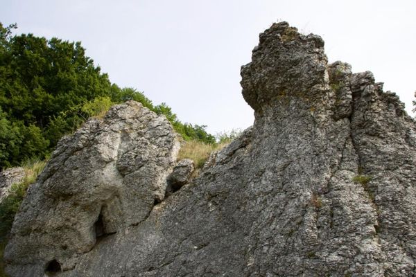 Blick auf ein graues Felsmassiv. Im Hintergrund erheben sich die Bäume am Waldrand.
