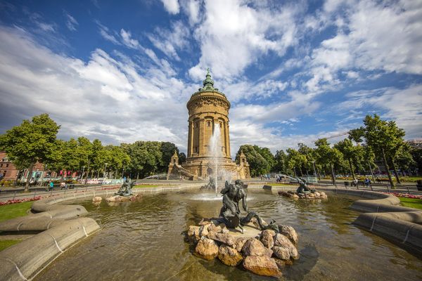 Bild des Datensatzes Mannheim entdecken