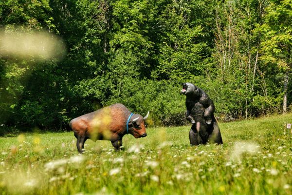 Ein Stier- und ein Bärfigur stehen auf der Wiese