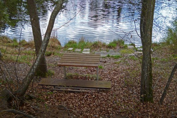 Am Nordufer des idyllisch gelegenen Pollinger Weihers befindet sich ein kleiner Rastplatz.