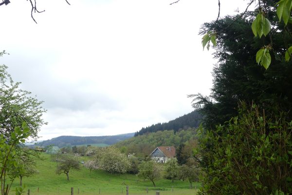 Ausblick