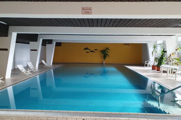 Rund um das Hallenschwimmbecken sind weiße Liegen, Stühle, ein Tisch und Grünpflanzen verteilt. Auf der gelben Rückwand sind vier Delfine aufgemalt.