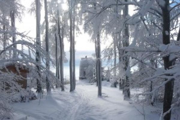 Ein verschneiter Weg führt durch den tief winterlichen Wald, vorbei an einer eingeschneiten Hütte, hin zum Hirschenstein-Aussichtsturm, der schneebedeckt im Hintergrund liegt.