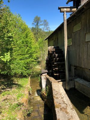 Mühlrad Hammermühle