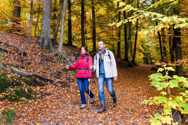 Zwei Wanderer die durch einen herbstlichen Wald laufen