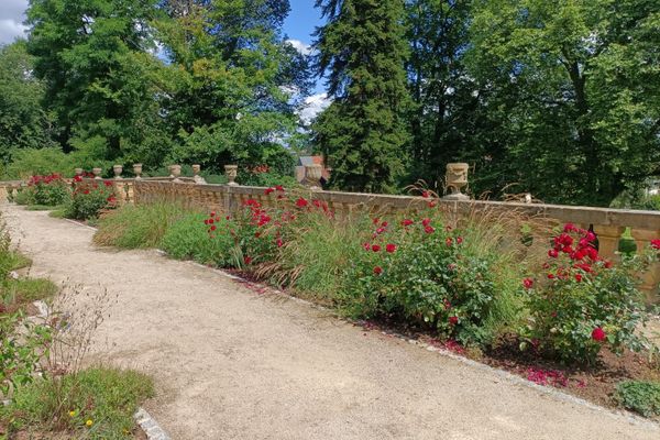 Rosenbeete an den Terrassen