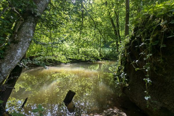 Über Berg und Tal zum „Oberailsfelder Radler“