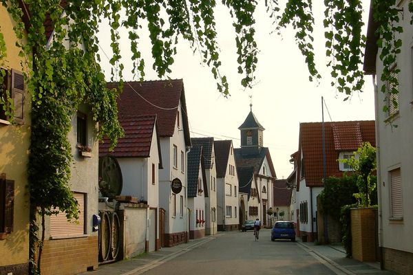 Bild des Datensatzes Weinfest der Freundschaft im Weindorf Duttweiler