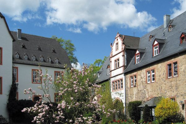 Hinter einem zentralen Magnolienbaum, sind links und rechts Teile je eines Gebäude eines alten Schlosskomplexes zu sehen. Der rechte Bau hat einen markanten Gaubenvorbau mit auffällig geschwungener Stirnseite. Die Häuser sind aus massivem Stein gebaut und haben dunkelgraue Schieferdächer. Der rechte Bau ist bis auf den Gaubenvorbau steinern, alles andere ist weiß verputzt. Alle Fensterleibungen und Kanten sind aus rotem Sandstein. Vor den Häusern sind Rabatten frühlingshaft bunt bepflanzt. Der Himmel ist leicht bewölkt, aber blau.