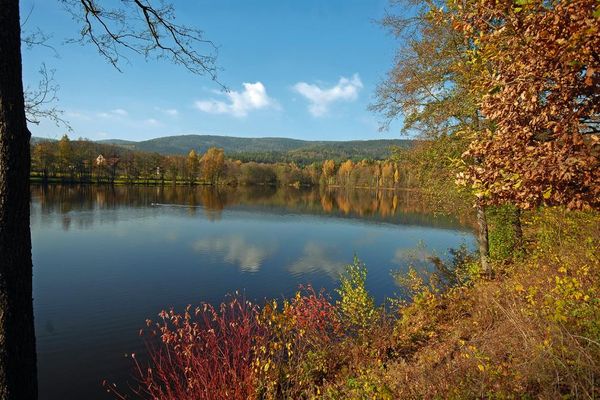Weiher im Herbst