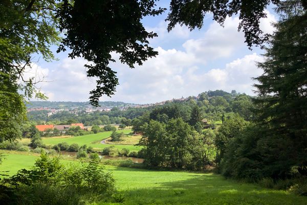 Blick aus dem Wald heraus über grüne Wiesen und ein Flussbett auf Homberg, das sich auf einem Höhenzug im Hintergrund erhebt. Das Bild ist sehr von grünen Bäumen überall geprägt und es ist sommerlich schönes Wetter.