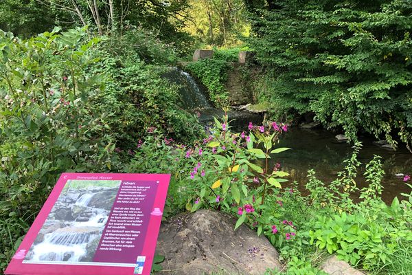 Eine dicht bewachsene Umgebung um ein Flussbett mit einem steinernen Überlauf ist zu sehen.

Ein magentafarbenes Schild im Vordergrund informiert über das Wasser am Sinnespfad. Im Text geht es um das Hören. Es ist zu lesen: Schließe die Augen und konzentriere dich auf deine Umgebung. Was kannst du hören? Was stellst du dir vor? Wie fühlst du dich?

Stell dir den Weg des Wassers vor, wie es aus einer Quelle tropft, dann im Bach plätschert, im Fluss rauscht und schließlich tosend einen Wasserfall hinabfällt.

Das Geräusch von Wasser, ob Meeresrauschen oder Gepläscher von einem Brunnen, hat für viele Menschen eine entspannte Wirkung.