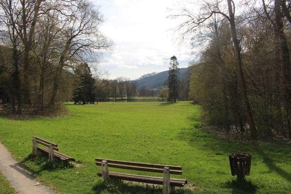 Seegarten Amorbach