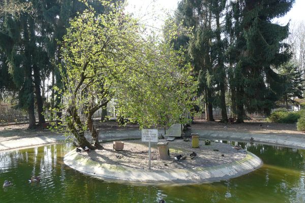 Groß-Rohrheimer Vogelpark