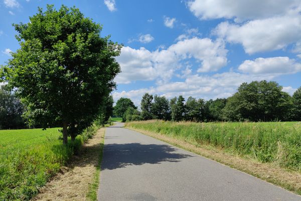 Schmale asphaltierte Landstraße mit leichtem Bogen, links ein einzelner Laubbaum und gemähter Grünstreifen, rechts hohes Gras und Feldrand, dahinter Baumgruppe unter blauem Himmel mit weißen Wolken.