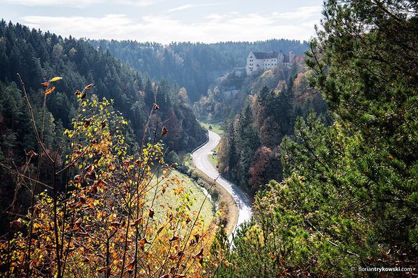 Blick von einem Aussichtspunkt in ein herbstliches Tal, durch das sich eine Straße schlängelt. Darüber erhebt sich eine Burg.