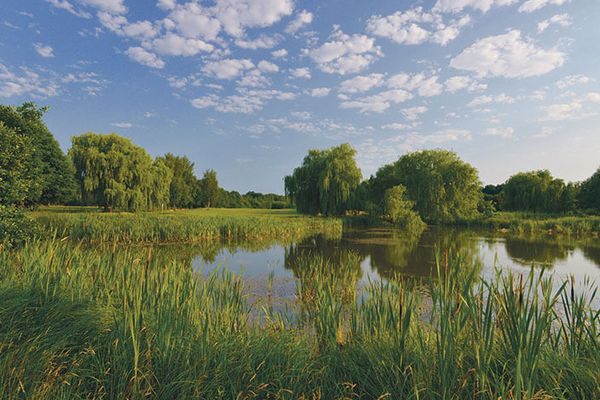 Teich mit Bäumen auf dem Golfplatz in Secklendorf.