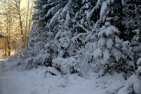 Winter