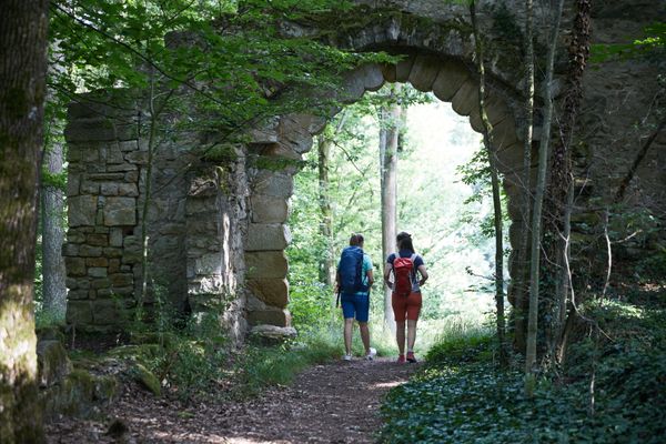 Unterwegs im Landschaftspark Bettenburg