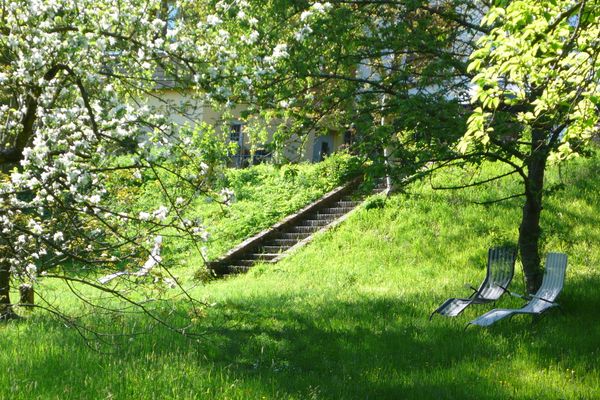 Liegestühle im Garten