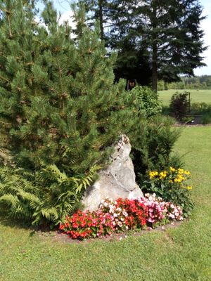 Fewo Sieglinde Backer, Garten