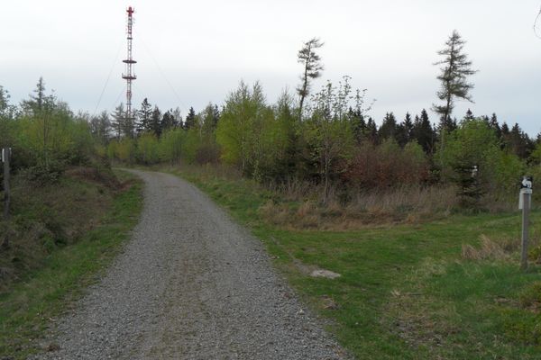 Weißenstadt Nordic Walking Strecke 7, Richtung Waldstein, Waldweg